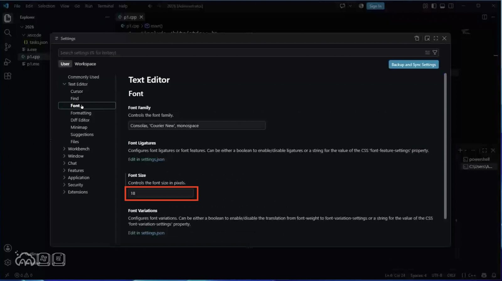 VS Code 設定頁的截圖，紅框標出 Text Editor 的 Font Size 欄位，值是 18